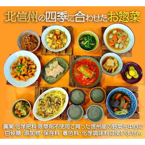 送料無料 どんぐりキッチン手作り季節のお惣菜詰合せ5品セット 長野のお土産 お土産どんぐり長野 通販 Yahoo ショッピング
