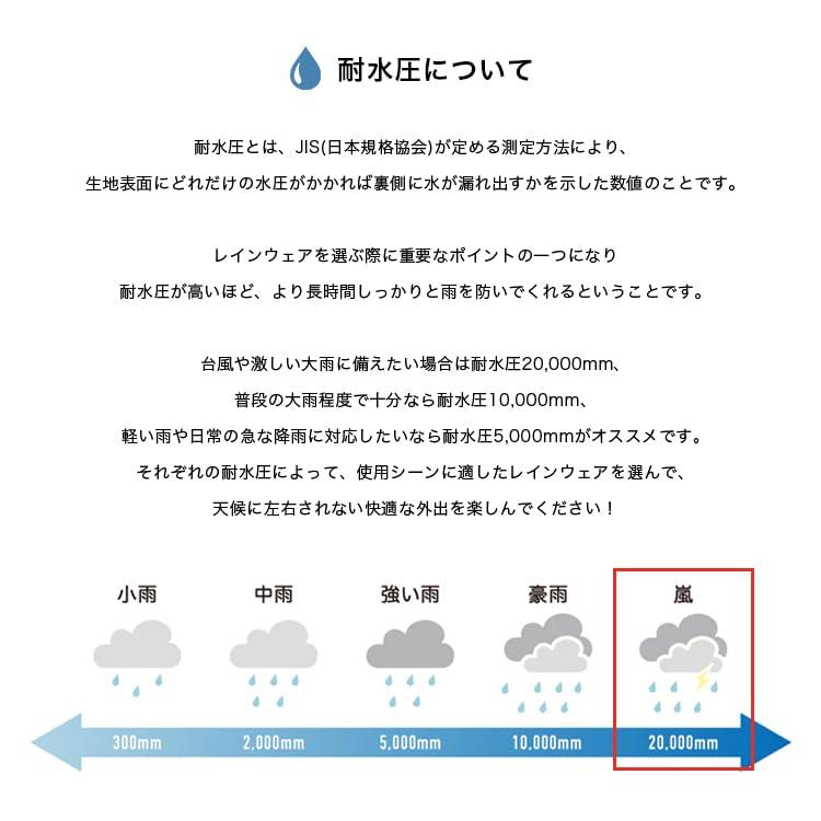 https://item-shopping.c.yimg.jp/i/n/donguri-tree_4537988332589_3_d_20260106225642