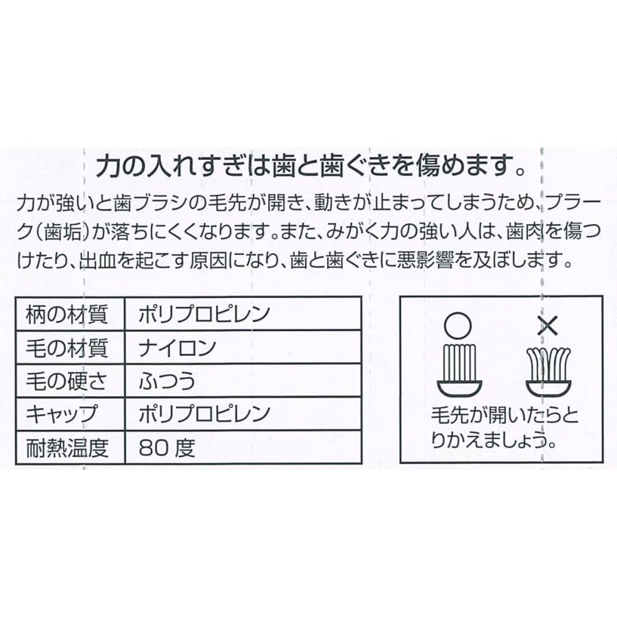 Skater スケーター 歯ブラシ 園児用 3 5才 毛の硬さ普通 3本組 カーズ 15 Tb5t 母の日 入園 入園祝い 入学祝い 入園特集 入園準備 入園グッズ 保育園 幼稚園 生活雑貨 どんぐりの木 通販 Yahoo ショッピング