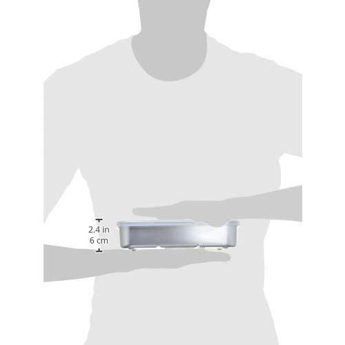 SKATER スケーター アルミ 急速 冷凍 保存容器 L 1200ml ナチュラル 日本製 AKH4-A (プレゼント 入園祝い 入学祝い 保育園 子供 小学生 かわいい おしゃれ) | スケーター | 03