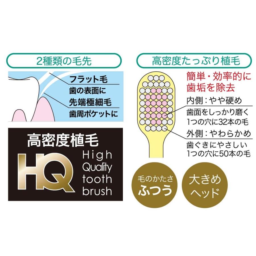 スケーター SKATER 歯ブラシセット アナ雪園児用 14.5cm TBC3-0S スケーター SKATER 歯ブラシセット アナ雪園児用 14.5cm TBC3-0S