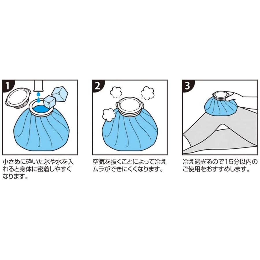 Skater スケーター 氷のう アイスバッグ M 氷嚢 ひょうのう アナと雪の女王 2 ディズニー 直径21cm Icb2 プレゼント 入園祝い 入学祝い 子供 女の子 小学生 生活雑貨 どんぐりの木 通販 Yahoo ショッピング