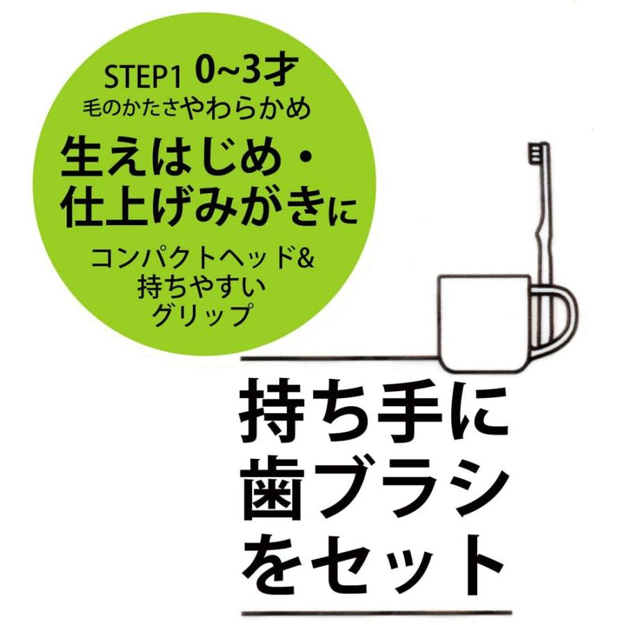 Item Shopping C Yimg Jp I N Donguri Tree