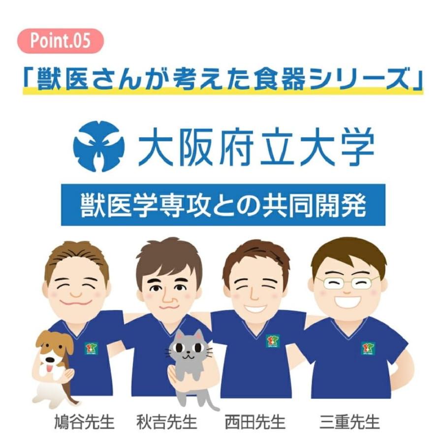 SKATER スケーター 短頭犬用 食器 陶磁器製 ペット餌入れ 幅広 マット付 ミント CHOB3 (プレゼント 入園祝い 入学祝い 子供 小学生 かわいい おしゃれ お返し) | スケーター | 06