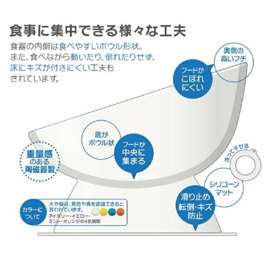 SKATER スケーター 短頭犬用 食器 陶磁器製 ペット餌入れ 幅広 マット付 ミント CHOB3 (プレゼント 入園祝い 入学祝い 子供 小学生 かわいい おしゃれ お返し) | スケーター | 07