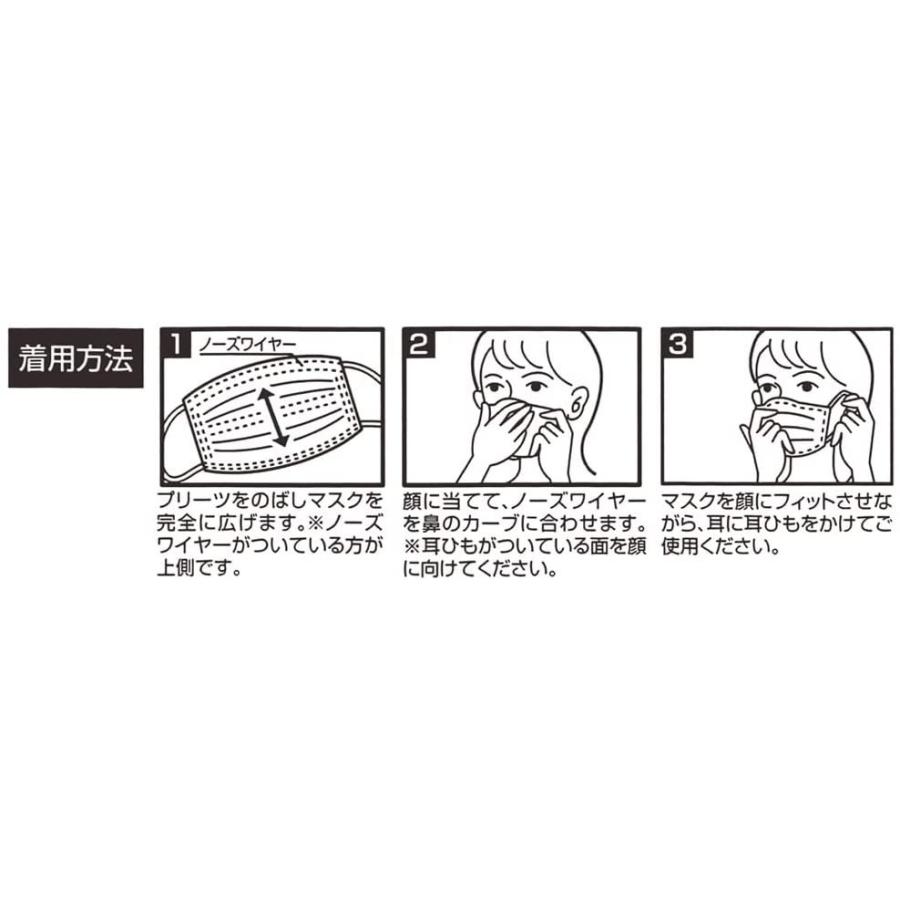 供え スケーター Mskp40 不織布プリーツマスク 大人用 プリンセス 30枚入 Fucoa Cl