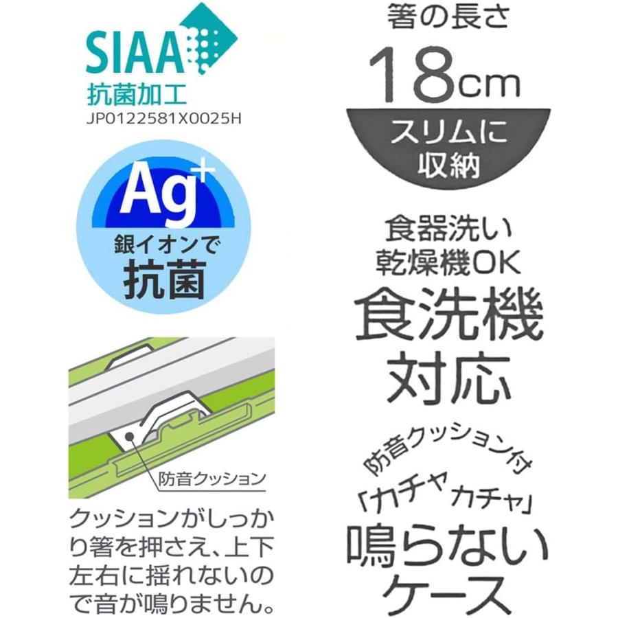 SKATER スケーター 箸 箸箱 セット ポチャッコ のんびり 18cm 抗菌 大人用 日本製 ABC3AG-A (プレゼント 入学特集 入園準備 入学準備 保育園 幼稚園 小学校) | スケーター | 06