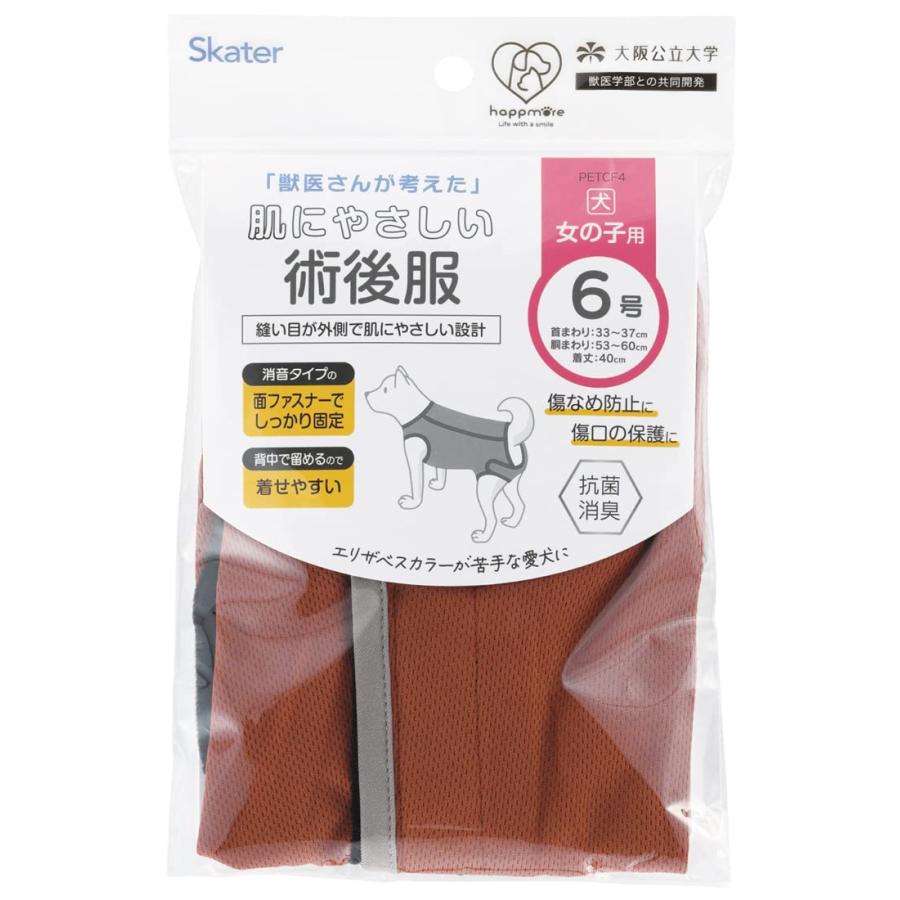 SKATER スケーター ブラウン ブラウン6号 (プレゼント 入園祝い 入学祝い 子供 かわいい おしゃれ お返し) | スケーター