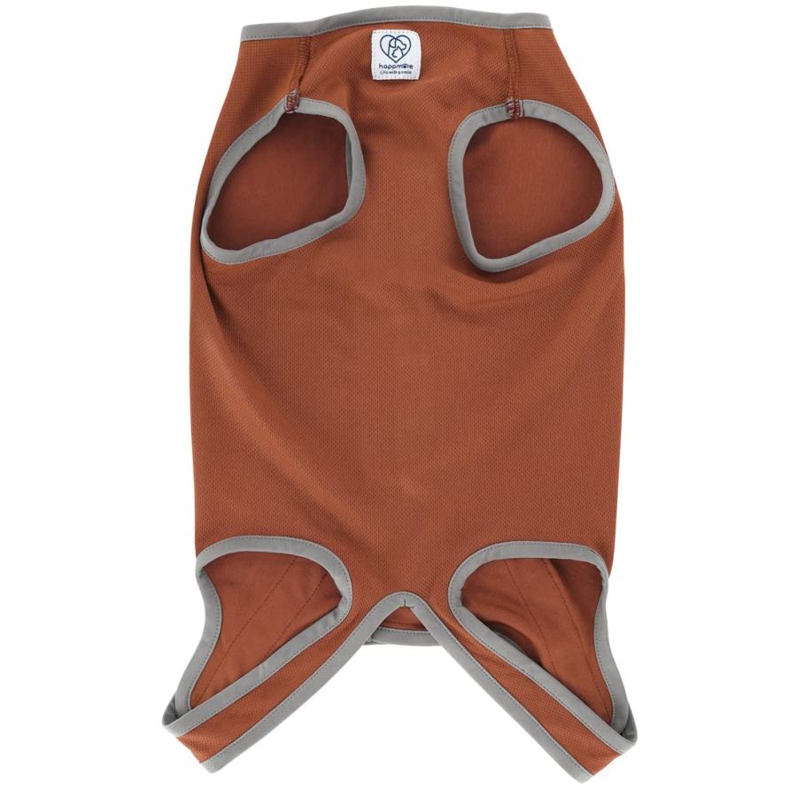 SKATER スケーター ブラウン ブラウン6号 (プレゼント 入園祝い 入学祝い 子供 かわいい おしゃれ お返し) | スケーター | 01