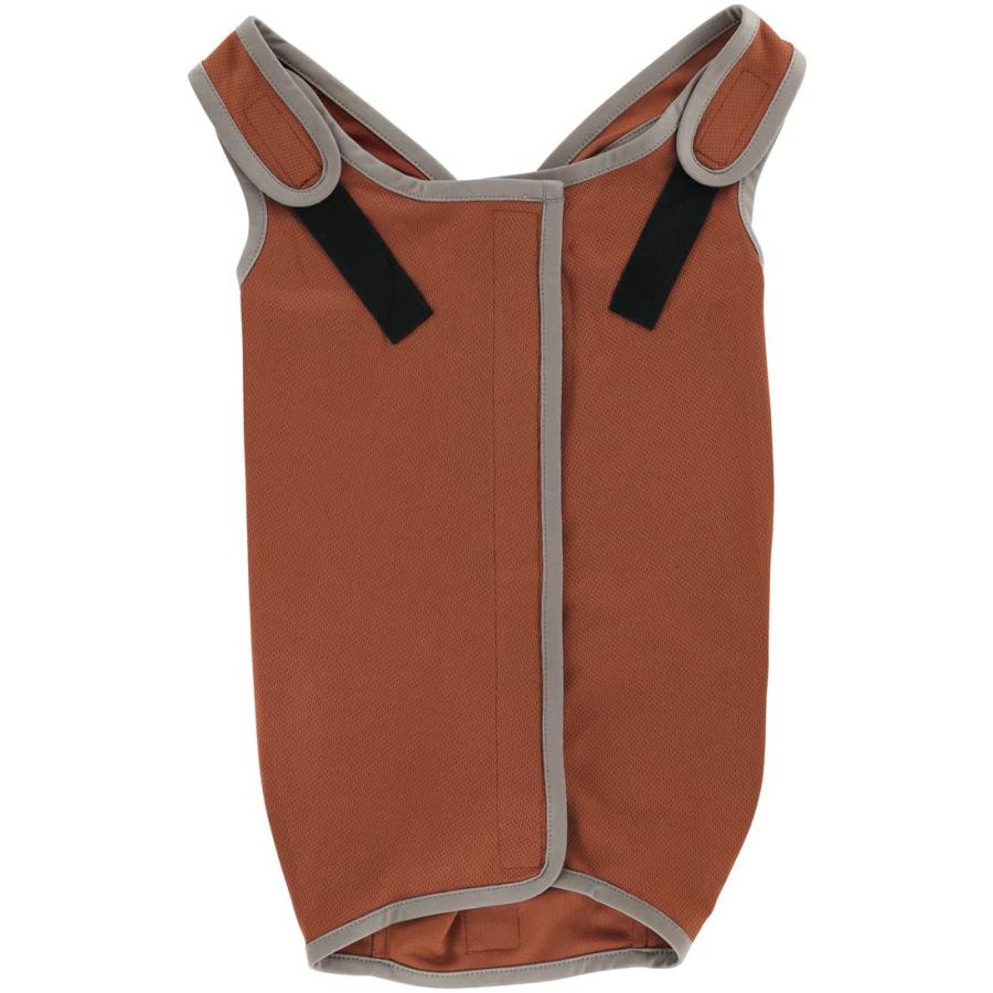 SKATER スケーター ブラウン ブラウン6号 (プレゼント 入園祝い 入学祝い 子供 かわいい おしゃれ お返し) | スケーター | 02