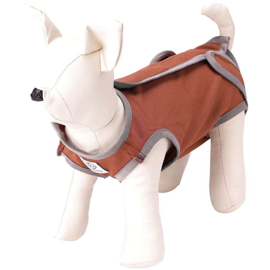 SKATER スケーター ブラウン ブラウン6号 (プレゼント 入園祝い 入学祝い 子供 かわいい おしゃれ お返し) | スケーター | 03