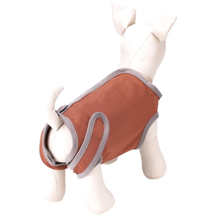 SKATER スケーター ブラウン ブラウン6号 (プレゼント 入園祝い 入学祝い 子供 かわいい おしゃれ お返し) | スケーター | 04