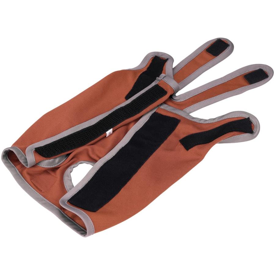 SKATER スケーター ブラウン ブラウン6号 (プレゼント 入園祝い 入学祝い 子供 かわいい おしゃれ お返し) | スケーター | 06