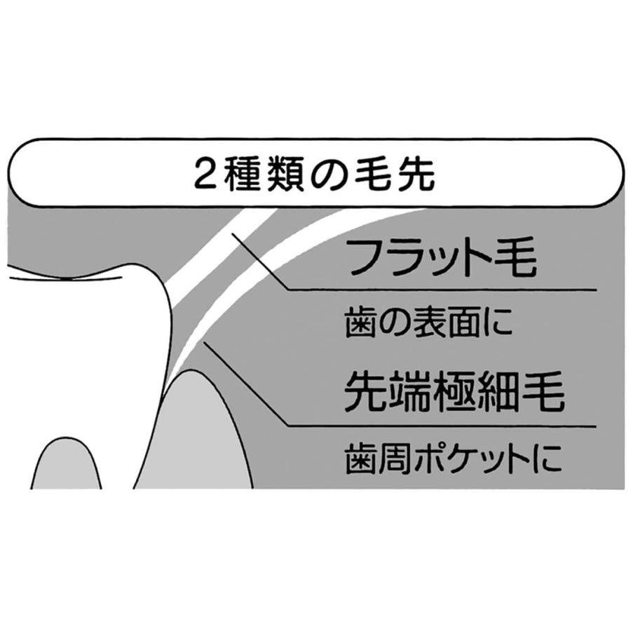 スケーター SKATER 歯ブラシ コンパクトヘッド 2本組 ふつう スケーター SKATER 歯ブラシ コンパクトヘッド 2本組 ふつう