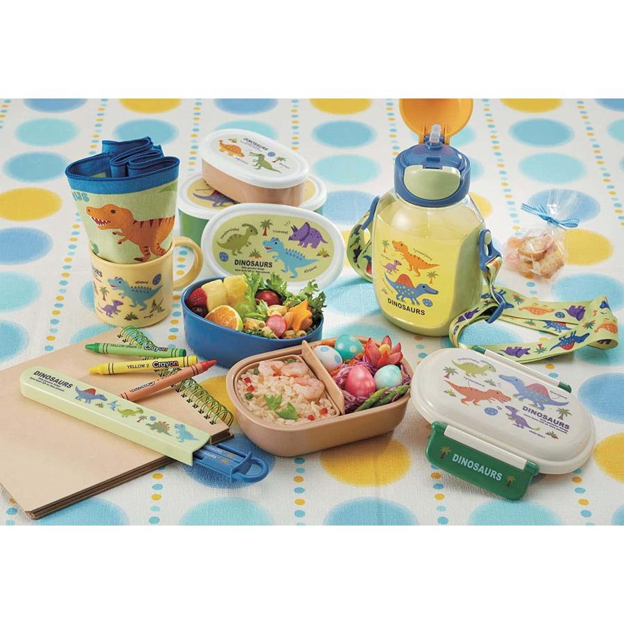 スケーター SKATER 水筒 ディノサウルス ピクチャー 480ml 子供用 抗菌