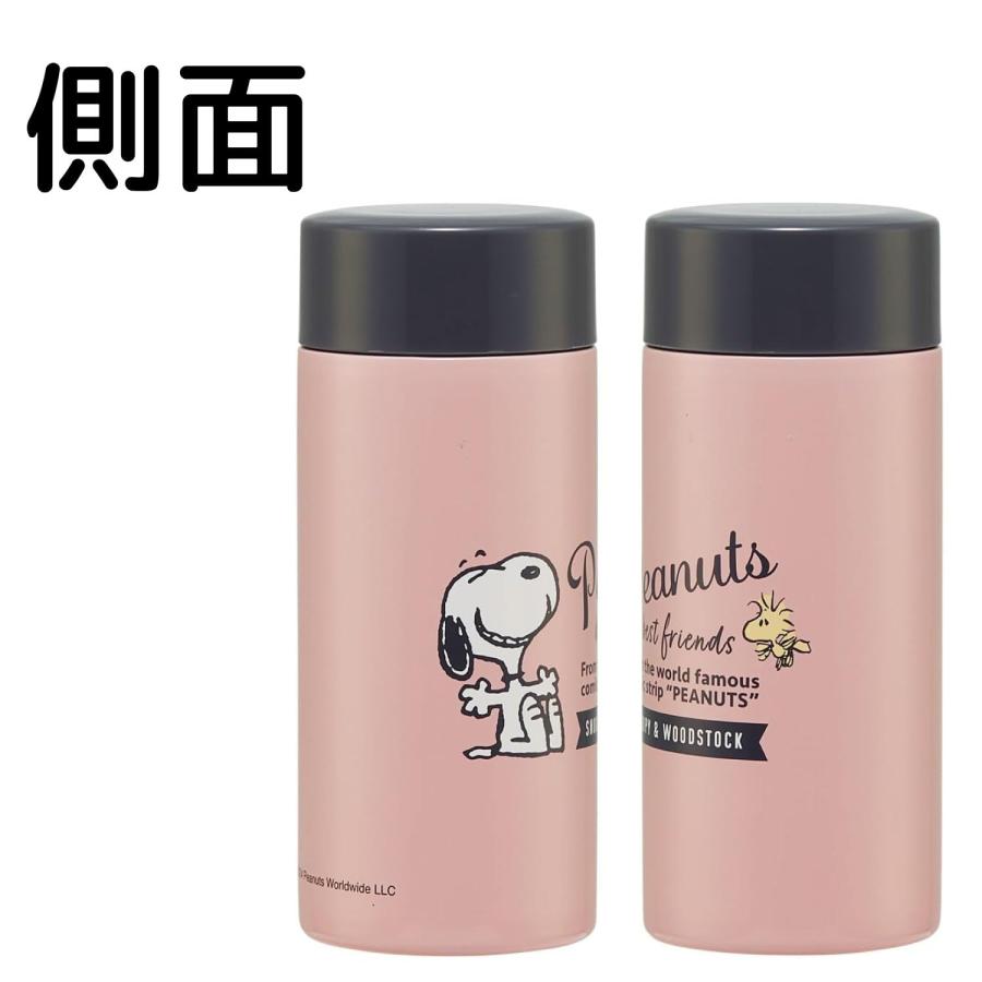 スケーター SKATER ステンレス マグボトル 超軽量 250ml スヌーピー