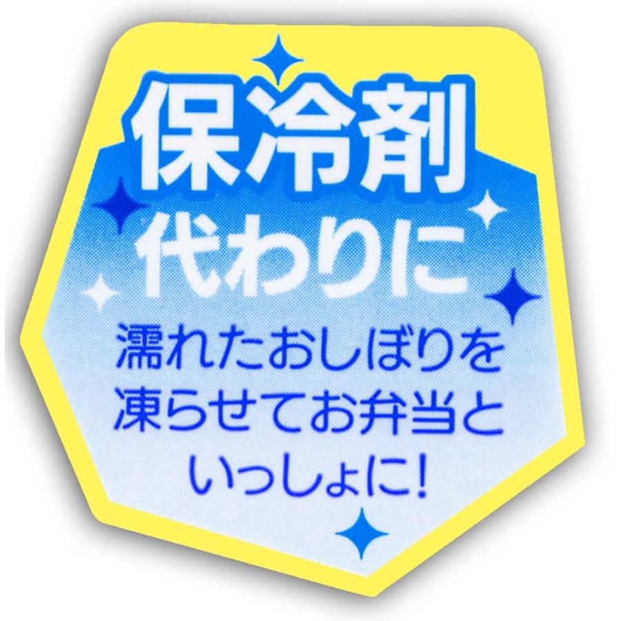SKATER スケーター ピクミン OA5AG 抗菌ケース付おしぼり PIKMIN (父の日 プレゼント 入園祝い 入学祝い 入学準備 幼稚園 小学校 子供 女の子 小学生 かわいい) | スケーター | 05