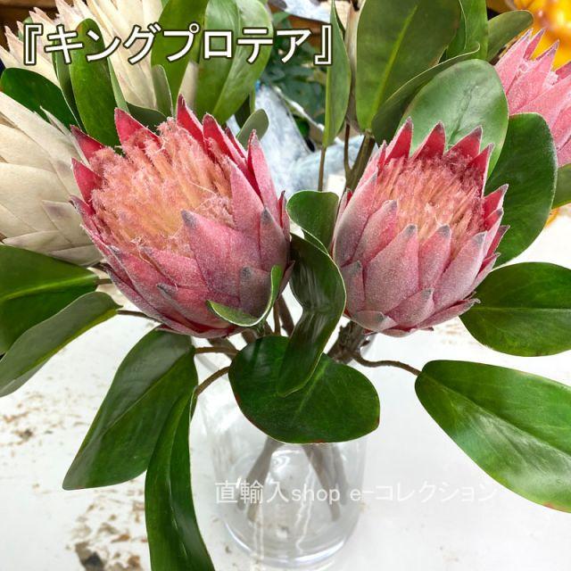 種類3：JS-740-ブルーベリー青 ☆倉庫移転の為、在庫処分SALE