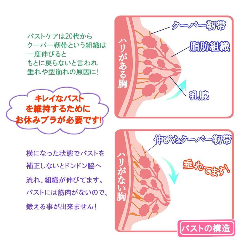 ブラジャー シームレスブラ ナイトブラ スポーツブラ おやすみブラ ノンワイヤー レディース 無縫製 大きい サイズ M L Ll 送料無料 Rd009 ドンナヤフーショップ 通販 Yahoo ショッピング