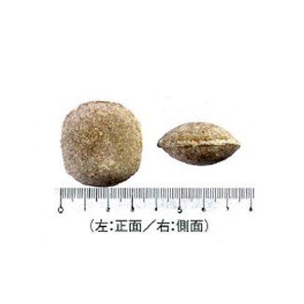 肥料 ウッドエース4号 15kg