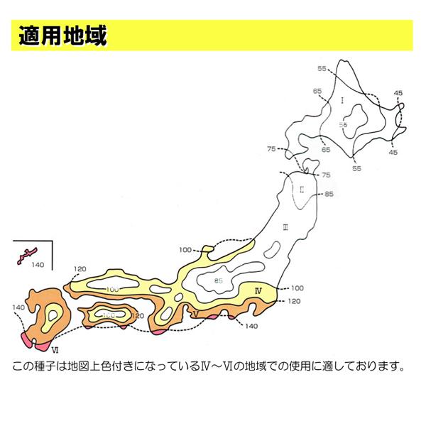 種子 ペレニアルライグラス レグゼット 10kg