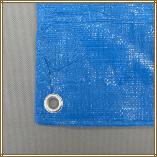 ブルーシート 厚手 #3000 10m×10m 2枚セット : めばえや旧店名土のう屋