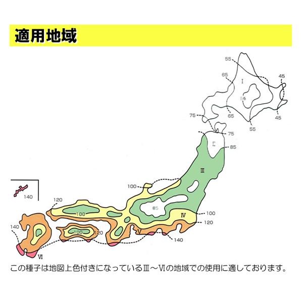 コート種子 センチピードグラス サンティ 1kg 