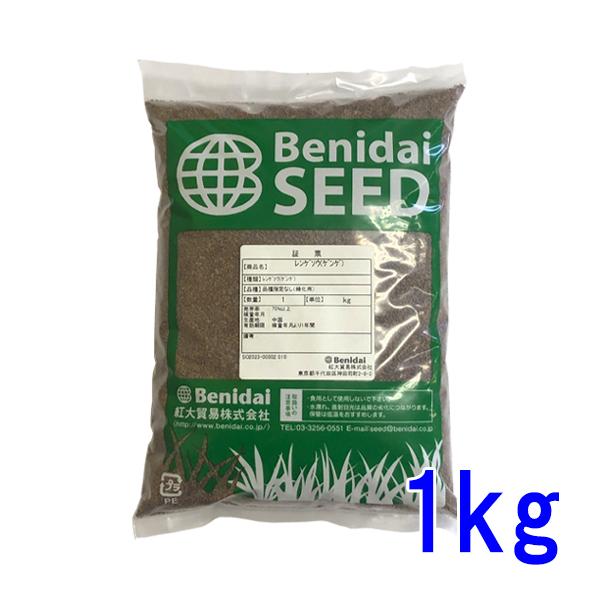 最新人気 種子 レンゲソウ れんげ草 ゲンゲ 1kg