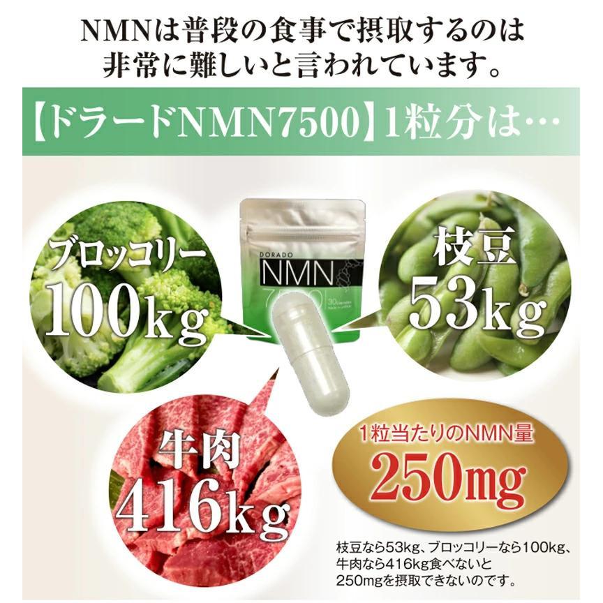 NMN サプリ 15000mg 耐酸性 カプセル nmn サプリメント 純度100％ 国内 