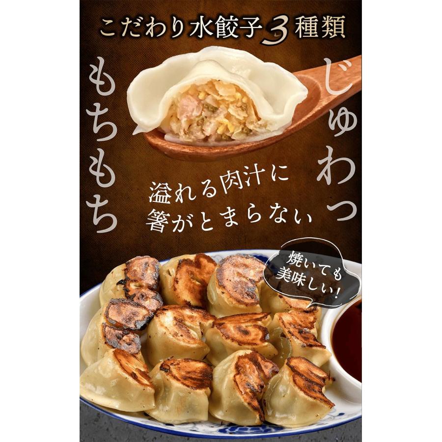 冷凍水餃子 贅沢48個セット 5分茹でるだけ ニラ24 エビ水餃子12 江月水