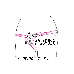 タイヨー脱腸帯片側用D号中人用(腰廻75cm迄)|doradora-drug|03