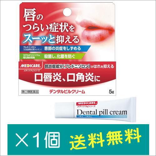 デンタルピルクリーム 5g【指定第2類医薬品】｜doradora-drug