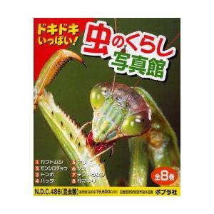 新品本/ドキドキいっぱい!虫のくらし写真館全8巻　高家　博成　監　海野　和男　撮影