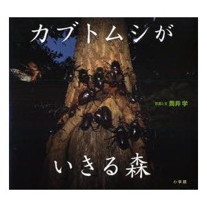 カブトムシがいきる森　筒井学/写真と文｜dorama2