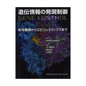 今季注目 【即日発送】 MBTD1XP1ZUA 型番:MBTD1XP1ZUA