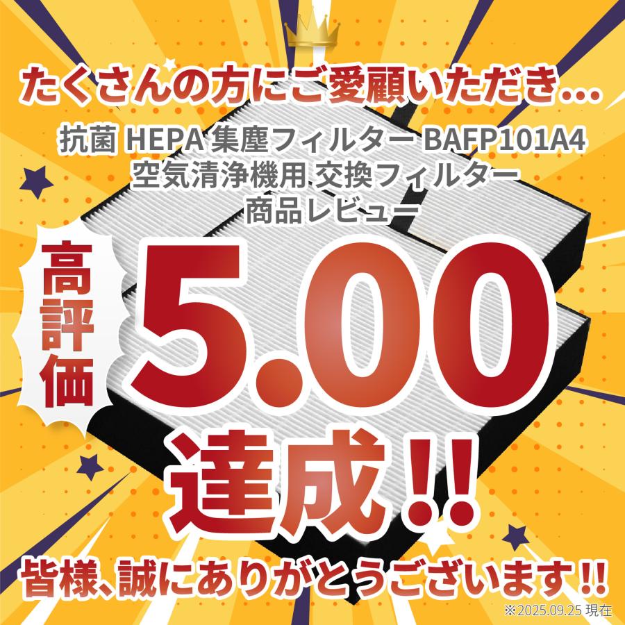ダイキンに使える 2個入 抗菌HEPA 集塵フィルター BAFP101A4 空気清浄