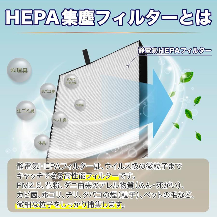 ダイキンに使える 2個入 抗菌HEPA 集塵フィルター BAFP101A4 空気清浄