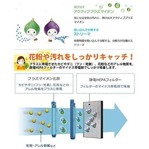 ダイキン（DAIKIN） 2枚セット 空気清浄機交換用フィルター 【送料無料