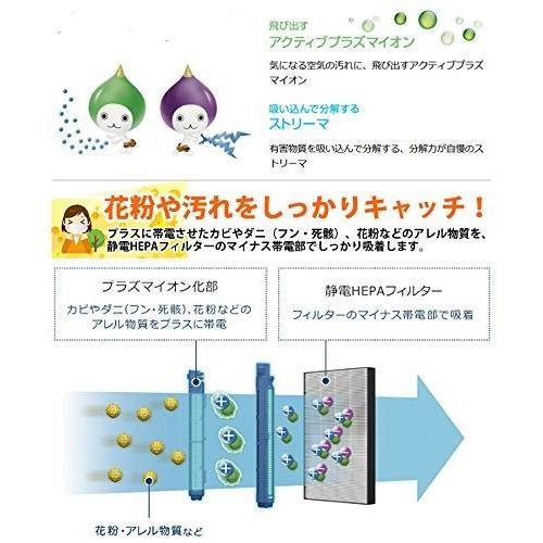 ダイキン（DAIKIN） 対応品番：KAFP044A4・ACK55N 空気清浄機交換用
