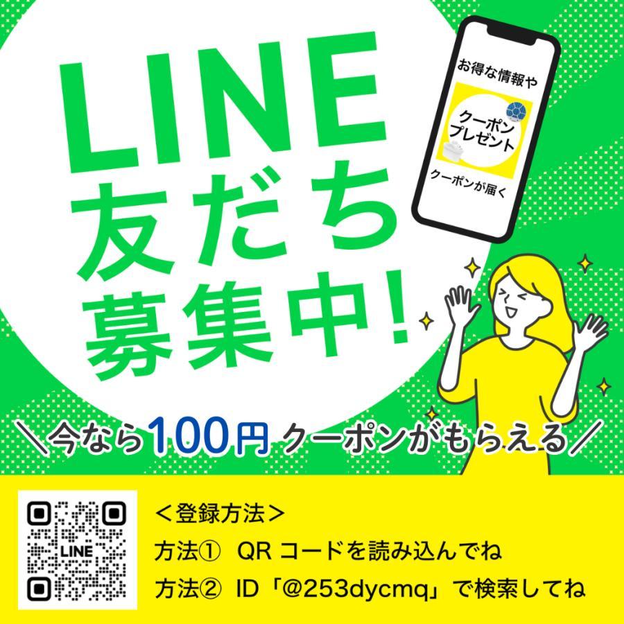 日立（HITACHI） 【在庫あり】【即日出荷】PVB-2525A PV-BH900H-010