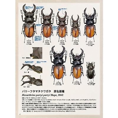 BE-KUWA (ビー・クワ) 87号 送料込み 2023年 4月18日発売 : 有限 BE-KUWA (ビー・クワ) 87号 送料込み 2023年 4月18日発売 : 有限