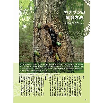 BE-KUWA (ビー・クワ) 87号 送料込み 2023年 4月18日発売 : 有限 BE-KUWA (ビー・クワ) 87号 送料込み 2023年 4月18日発売 : 有限