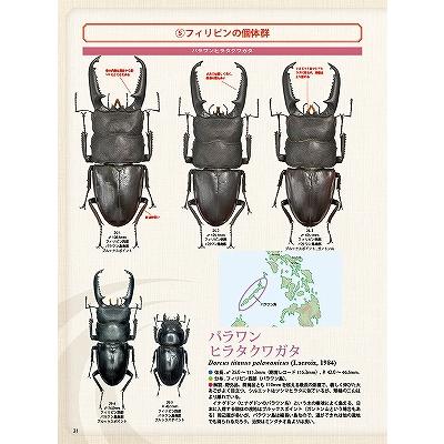 ビークワ  BEKUWA  1号〜88号　まとめ売り BE-KUWA (ビー・クワ) 88号 送料込み 2023年 7月11日発売 : 有限会社