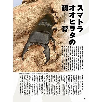 BE-KUWA (ビー・クワ) 88号 送料込み 2023年 7月11日発売 : 有限会社