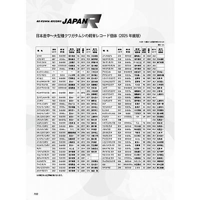 BE-KUWA (ビー・クワ) 94号 送料込み : 有限会社プロスパー BE-KUWA (ビー・クワ) 94号 送料込み : 有限会社プロスパー
