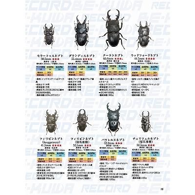 BE-KUWA (ビー・クワ) 94号 送料込み : 有限会社プロスパー BE-KUWA (ビー・クワ) 94号 送料込み : 有限会社プロスパー