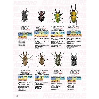 BE-KUWA (ビー・クワ) 94号 送料込み : 有限会社プロスパー BE-KUWA (ビー・クワ) 94号 送料込み : 有限会社プロスパー