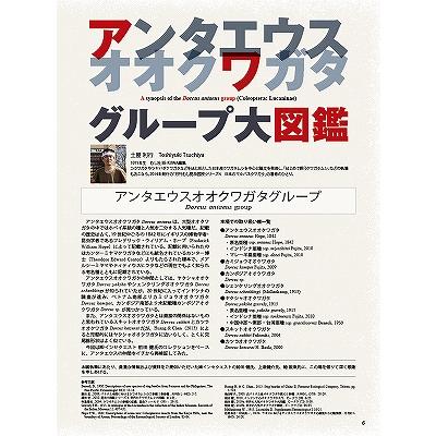 BE-KUWA (ビー・クワ) 96号 送料込み : 有限会社プロスパー - 通販