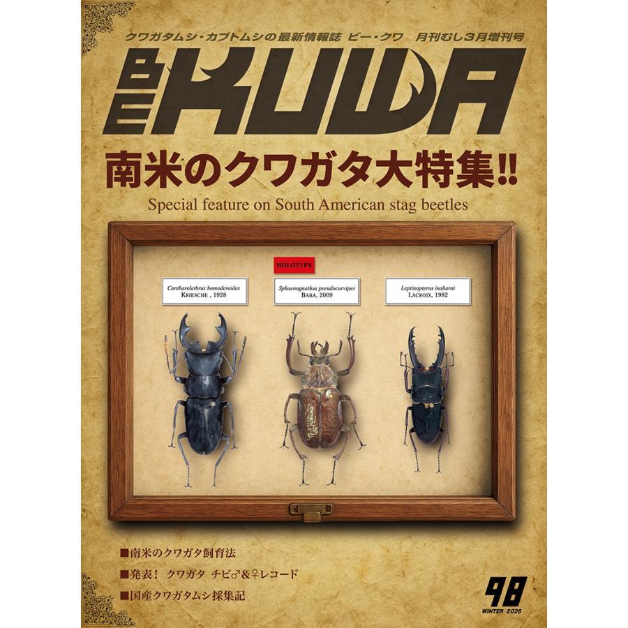 引退の為クワガタ飼育用品　生体安く売ります BE-KUWA (ビー・クワ) 98号 送料込み : 有限会社プロスパー - 通販