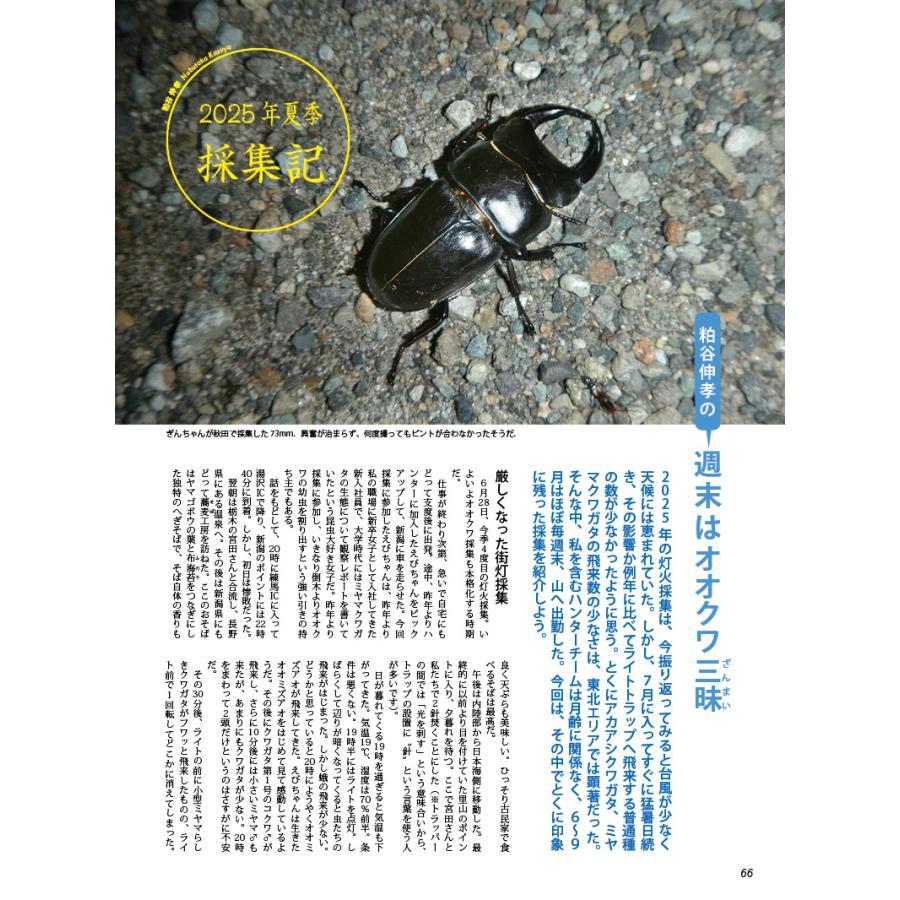 BE-KUWA (ビー・クワ) 98号 送料込み : 有限会社プロスパー - 通販